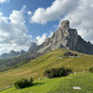 Meet your Posher, Hazel